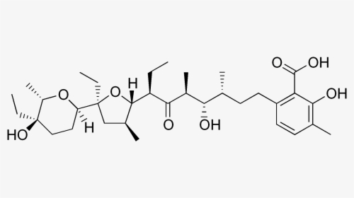 Lasalocid Structure - Malic Acid Optical Isomers, HD Png Download, Transparent PNG