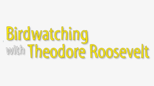 Birdwatching With Theodore Roosevelt - Graphics, HD Png Download, Transparent PNG