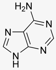 Adenine Chemical Structure , Png Download - Chemical Formula For Adenine, Transparent Png, Transparent PNG