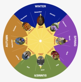 Wheel Of The Year 2019 Seasons, HD Png Download, Transparent PNG