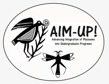 About Aim-up - Aim Up, HD Png Download, Transparent PNG