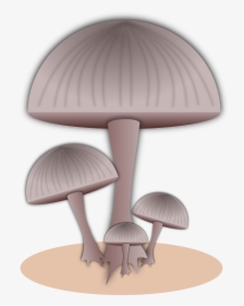 Mushroom Food Fungi Free Photo - Mushroom, HD Png Download, Transparent PNG