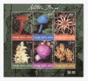 Nz Native Fungi, HD Png Download, Transparent PNG