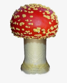 Mushroom, Autumn, Red, Forest, Fungi, Field, Nature - Fungi Png, Transparent Png, Transparent PNG