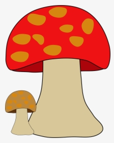 Fungi Fungus Mushroom Free Photo - Animasi Jamur Tiram Png, Transparent Png, Transparent PNG