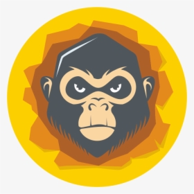 Monkey, HD Png Download, Transparent PNG