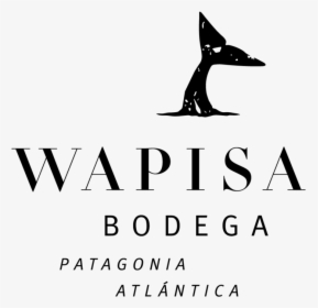 Logo Wapisa01-01 - Calligraphy, HD Png Download, Transparent PNG