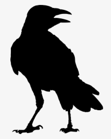 The Raven G Whitcoe Designs Crow Odin - Raven Silhouette Png, Transparent Png, Transparent PNG