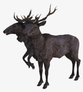 The Vault Fallout Wiki - Radstag Yearling Fallout 4, HD Png Download, Transparent PNG