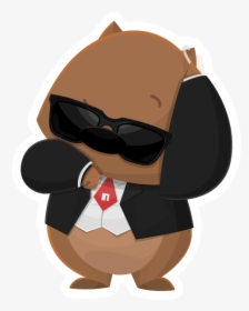 Duck, HD Png Download, Transparent PNG