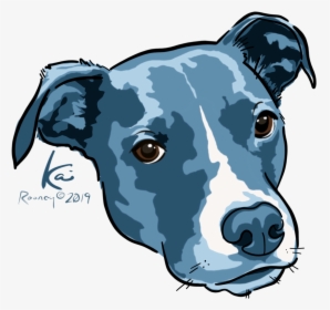 Kai No Border - Staffordshire Bull Terrier, HD Png Download, Transparent PNG
