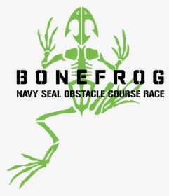 Bone Frog Logo, HD Png Download, Transparent PNG