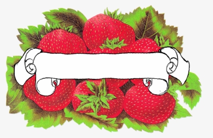 Label Blank Strawberry Download Printable, HD Png Download, Transparent PNG