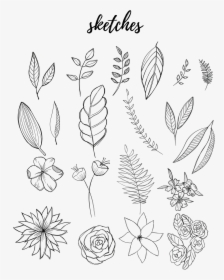 Drawing Journals Hand Drawn, HD Png Download, Transparent PNG