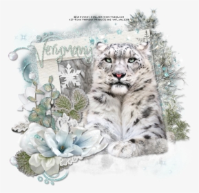 Snow Leopard By Verymany Found Here, HD Png Download, Transparent PNG