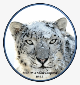 Mac Os X Snow Leopard Iatkos, HD Png Download, Transparent PNG