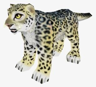 Snow Leopard Png, Transparent Png, Transparent PNG