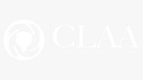 Picture, HD Png Download, Transparent PNG