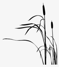 Cattail Drawing Silhouette, HD Png Download, Transparent PNG