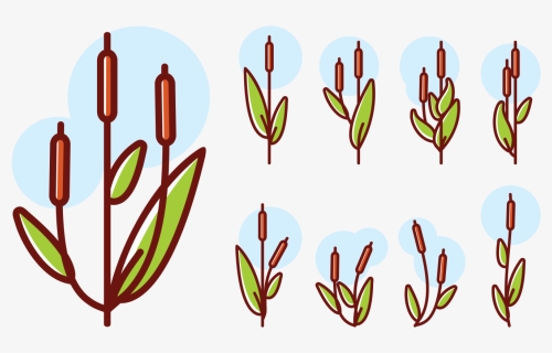 Cattails Icons Vector, HD Png Download, Transparent PNG