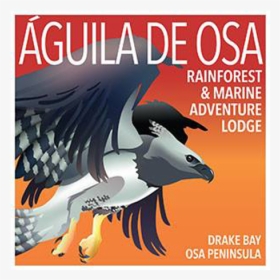 Águila De Osa Logo, HD Png Download, Transparent PNG