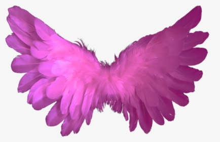 #beautiful #pink #wings #flying #fairy #halloween #butterfly, HD Png Download, Transparent PNG