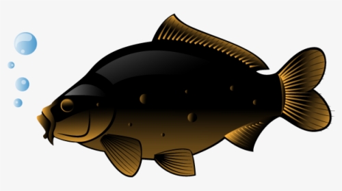 Swordfish Freshwater Fish Clip Art, HD Png Download, Transparent PNG