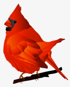 Winter Cardinal Clipart, HD Png Download, Transparent PNG