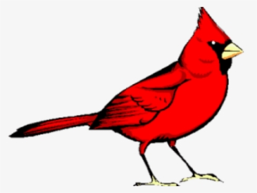 Graphic Freeuse Library Cardinal Clipart, HD Png Download, Transparent PNG