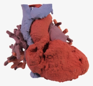 3d Printed Pulmonary Blood Flow Heart Model    Title, HD Png Download, Transparent PNG