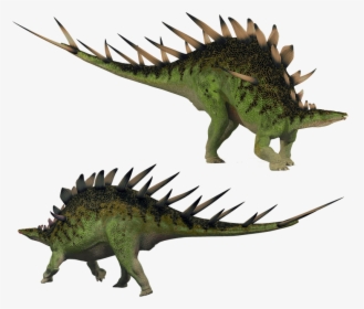 Stegosaurus, Kentrosaurus, Stegosaur, Dino, Dinosaur, HD Png Download, Transparent PNG