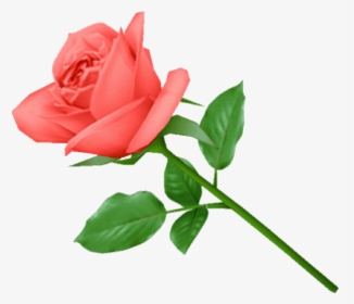 Rose .png, Transparent Png, Transparent PNG