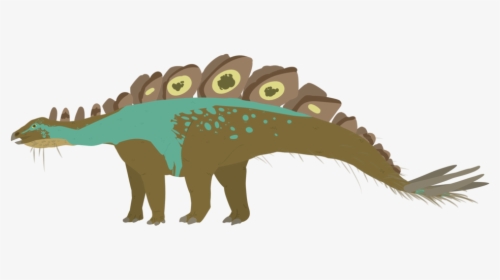Collection Of Free Stegosaurus Drawing Feather Download, HD Png Download, Transparent PNG