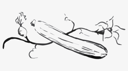 Zucchini Png Black And White, Transparent Png, Transparent PNG