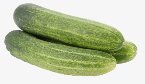 Gourd, And Melon Gherkins,summer Squash,pepino,winter, HD Png Download, Transparent PNG