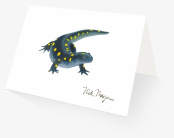 Yellow Spotted Salamander, HD Png Download, Transparent PNG