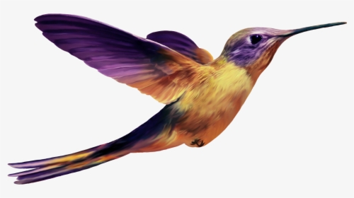 Hummingbird Png Image File, Transparent Png, Transparent PNG