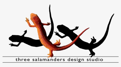 Three Salamanders Graphic Design Video Editing And, HD Png Download, Transparent PNG
