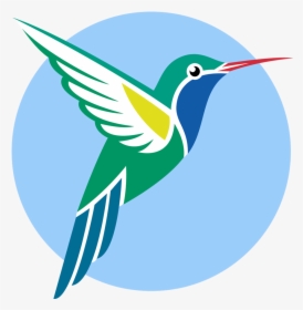 Broad Billed Hummingbird Vector Graphics Ruby Throated, HD Png Download, Transparent PNG