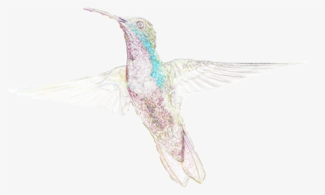 Do Your Part For Hummingbirds On National Hummingbird, HD Png Download, Transparent PNG