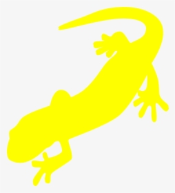 Salamander Png, Transparent Png, Transparent PNG