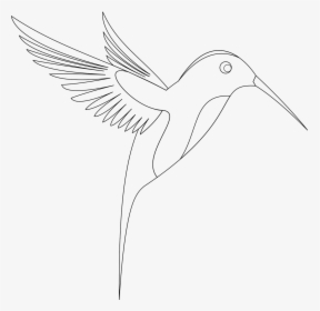Sketch Bird Transprent Png, Transparent Png, Transparent PNG