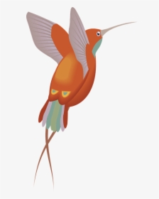 Red, Orange, Hummingbird, Bird, Wings, Feathers, HD Png Download, Transparent PNG