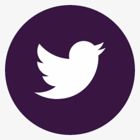Twitter Logo Final, HD Png Download, Transparent PNG
