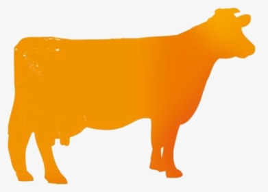 Transparent Beef Cattle Png - Dairy Cow, Png Download, Transparent PNG