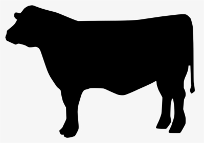 Clip Art Vector Graphics Angus Cattle Silhouette Holstein - Cow