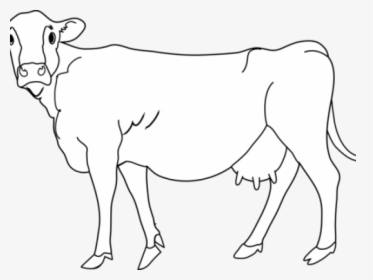 Cattle Clipart Cowblack - Clip Art, HD Png Download, Transparent PNG