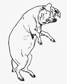 The Pig Who Had None Clip Arts - Pigs On Hind Legs, HD Png Download, Transparent PNG