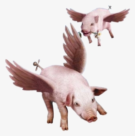 Png Fly Transparent Domestic - Flying Pig Transparent Png, Png Download, Transparent PNG