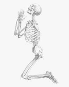 Halloween Skeleton Transparent Background - Praying Skeleton Png, Png Download, Transparent PNG